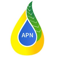 pt agrinas palma nusantara (persero)