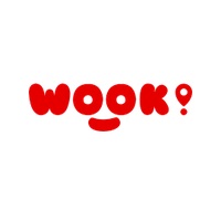 pt wook global technology